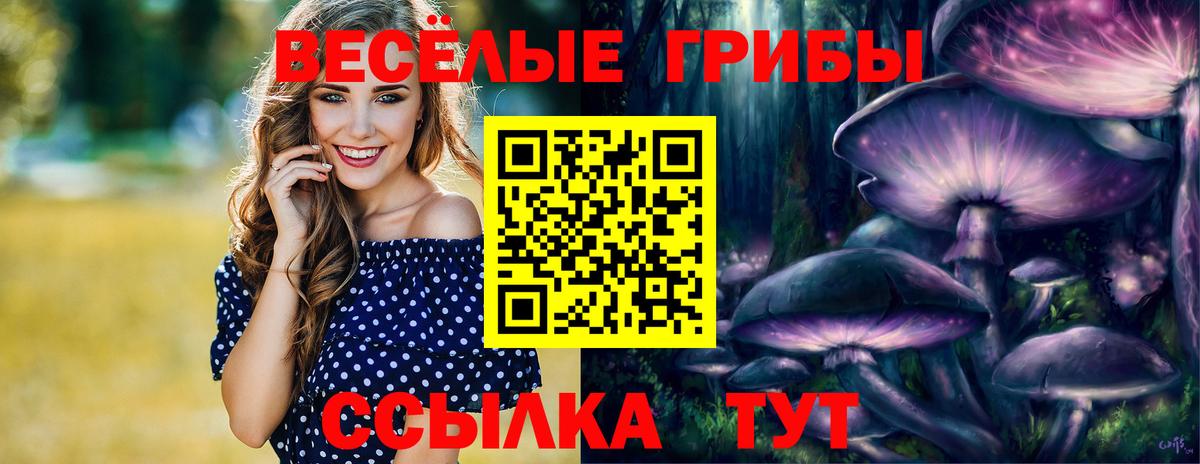 Галлюциногенные грибы Magic Shrooms  Вход с VPN  Галлюциногенные грибы MAGIC MUSHROOMS  Топки 